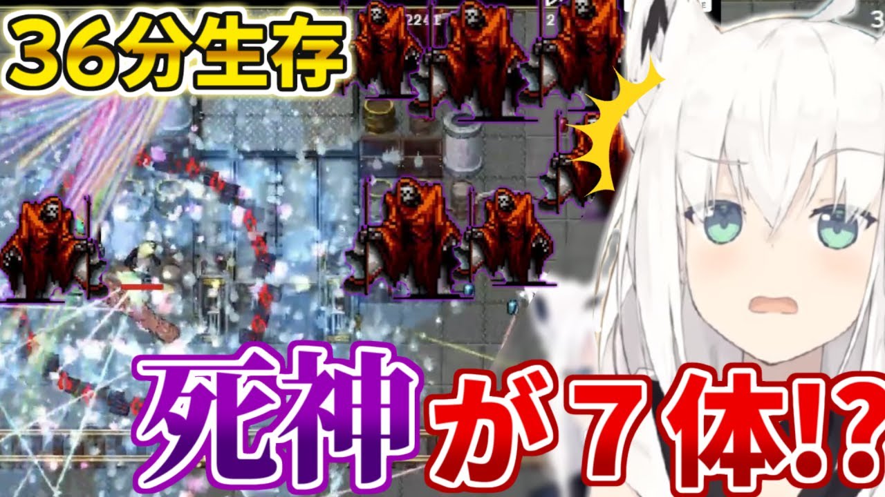 ホロ内新記録!!7体の死神に囲まれるも36分生存してしまう白上フブキ【ホロライブ 切り抜き動画 白上フブキ Vampire Survivors】