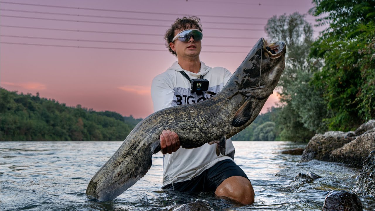 Pesca al Siluro nel Ticino: Spinning da Paura!