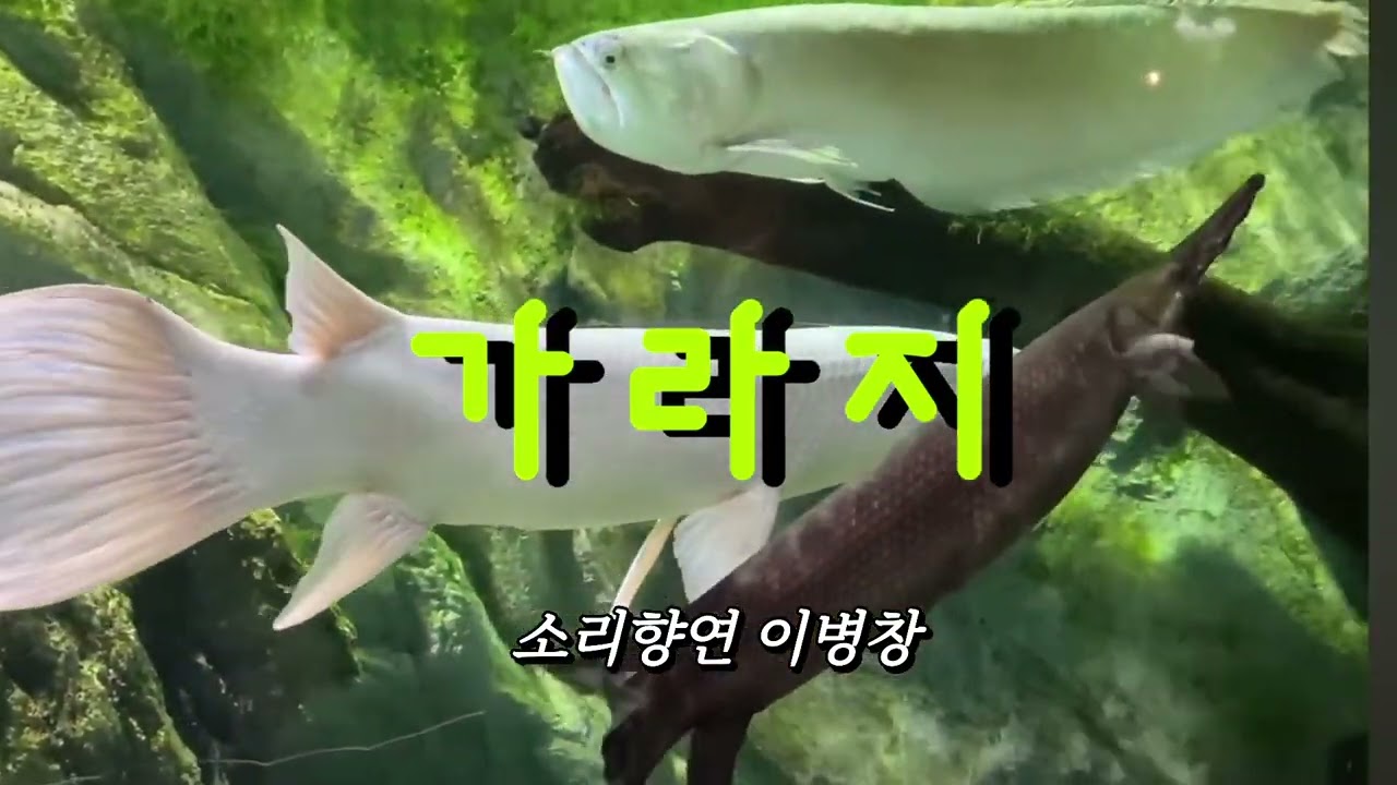 가라지/나훈아 (소리향연 이병창)