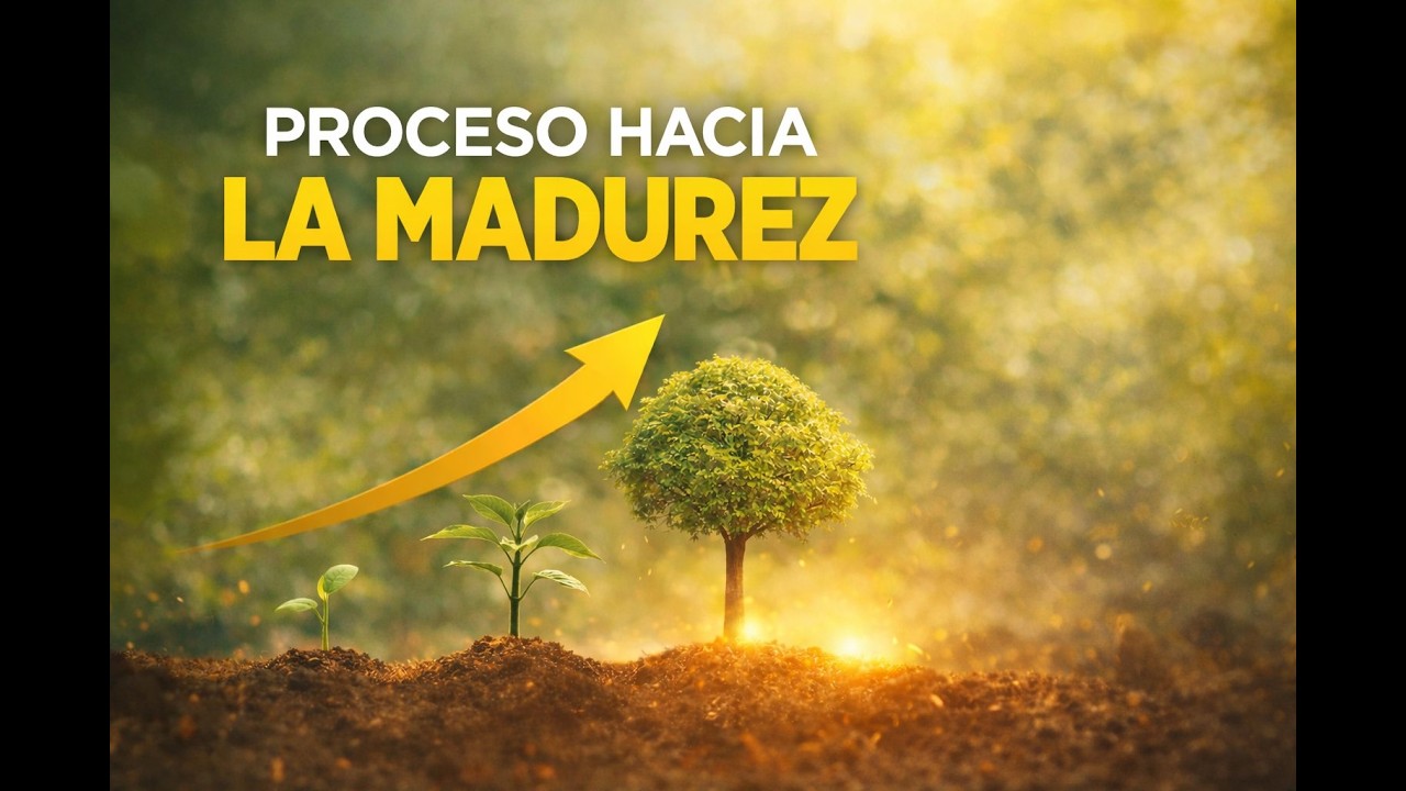 Proceso hacia la madurez