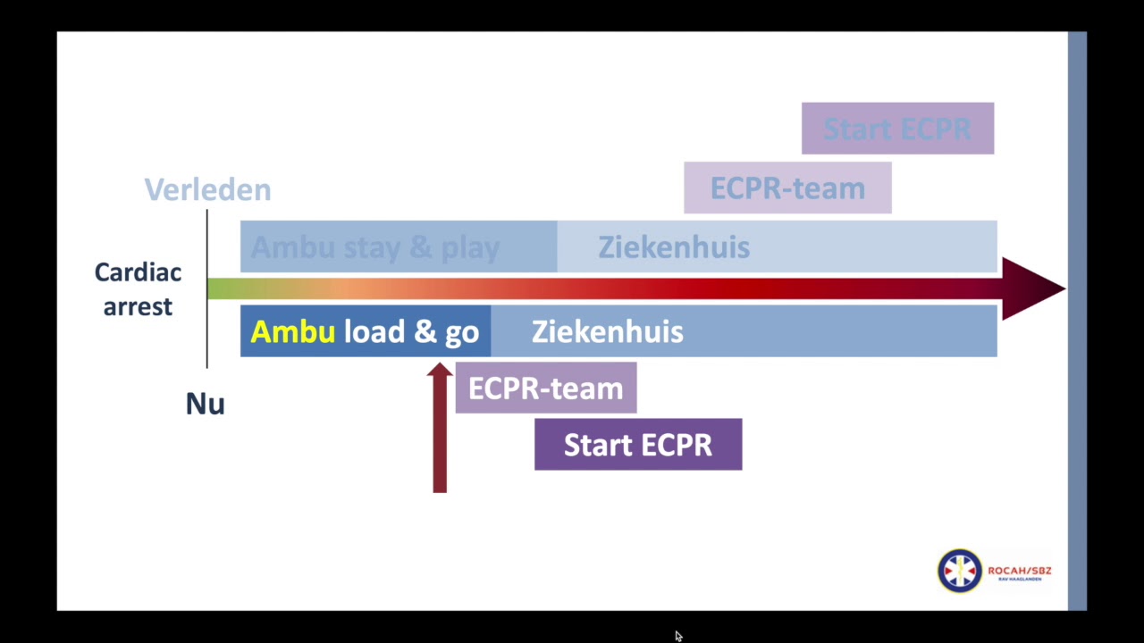 ECMO RAVH JULI 2019