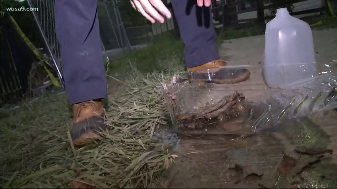 How did the flooding happen in Ellicott City