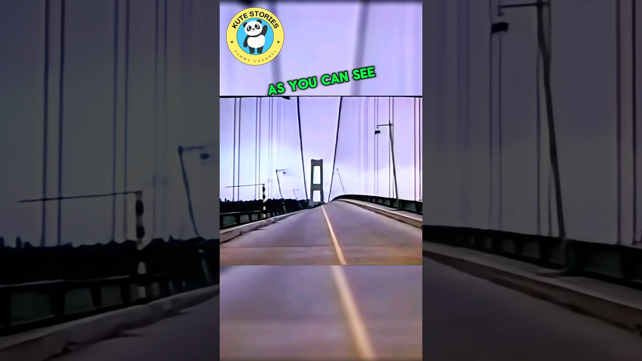 The Shocking Bridge Collapse 🌉