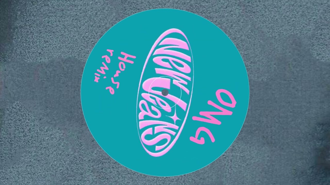NewJeans - OMG (rom remix)