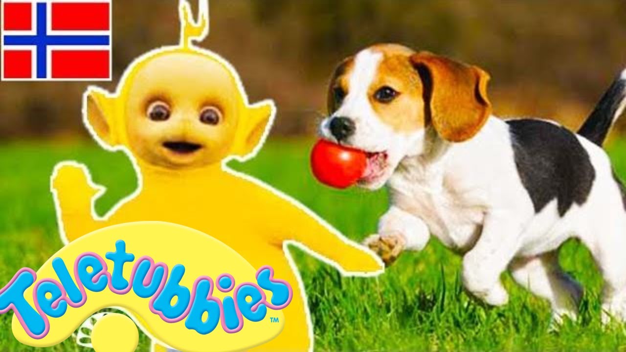 ☆ Teletubbiene på norsk ☆ Sesong 2 ☆ hele episode 28 ☆ Tegneserier for barn ☆