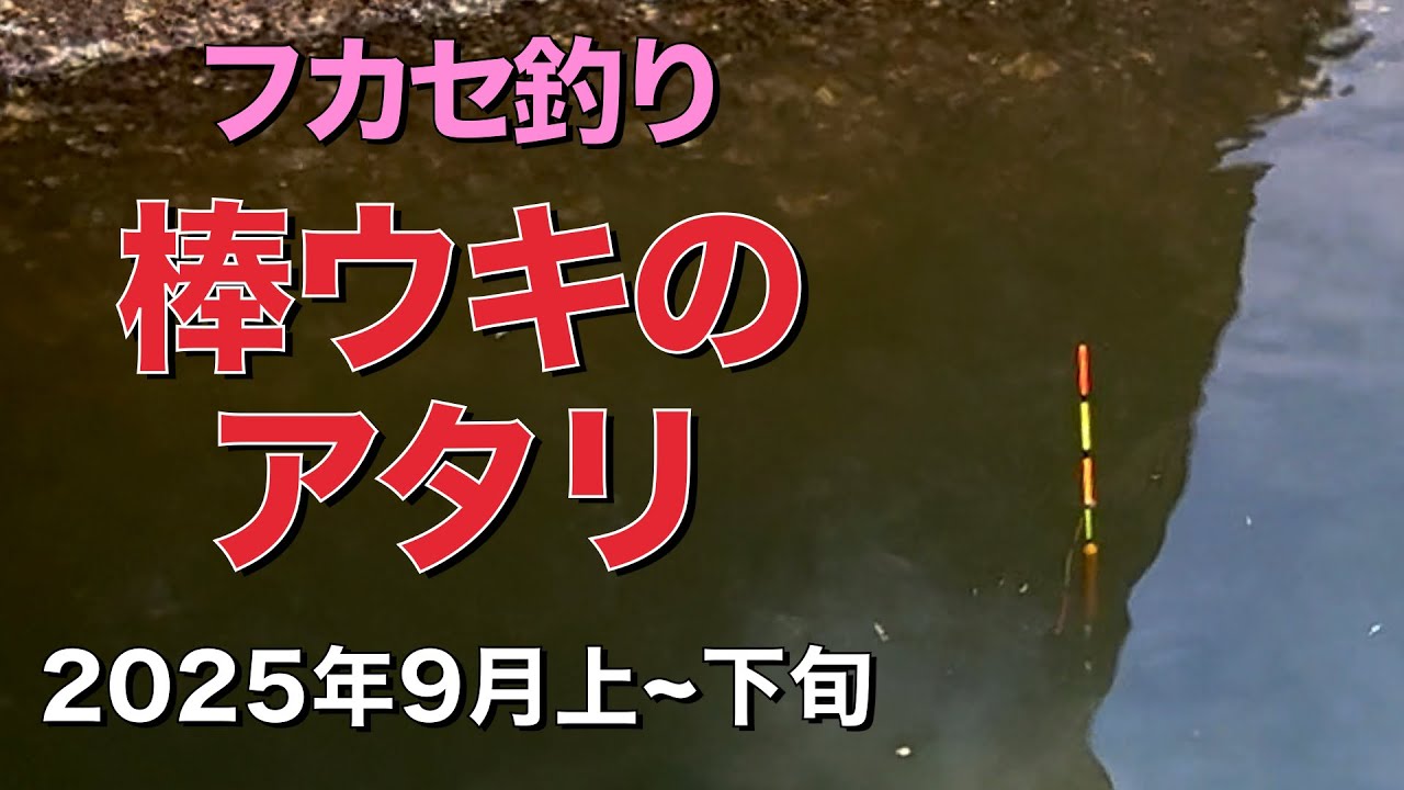 2025年9月上~下旬 棒ウキのアタリ集 フカセ釣り
