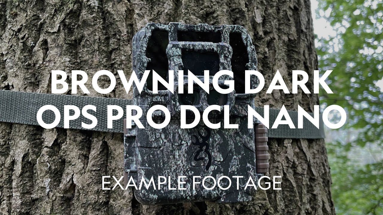 Example Footage | Browning Dark Ops Pro DCL Nano Trail Camera