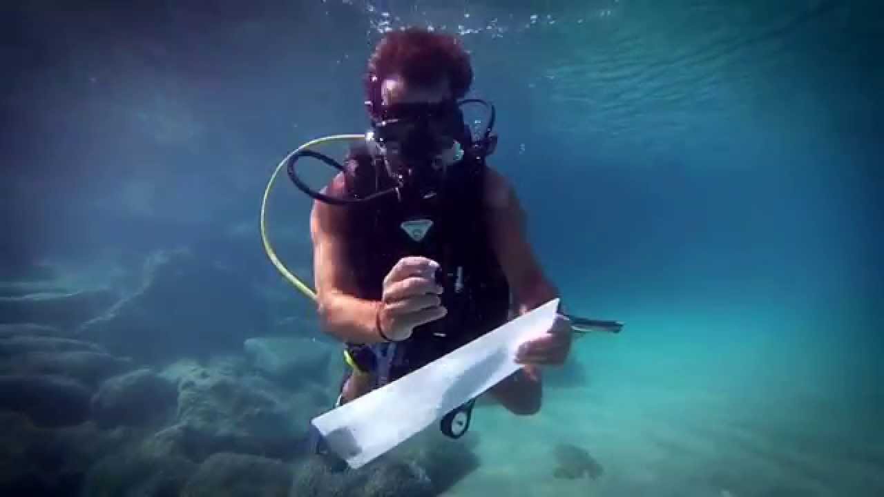 DAVESDIVERS.CO.UK