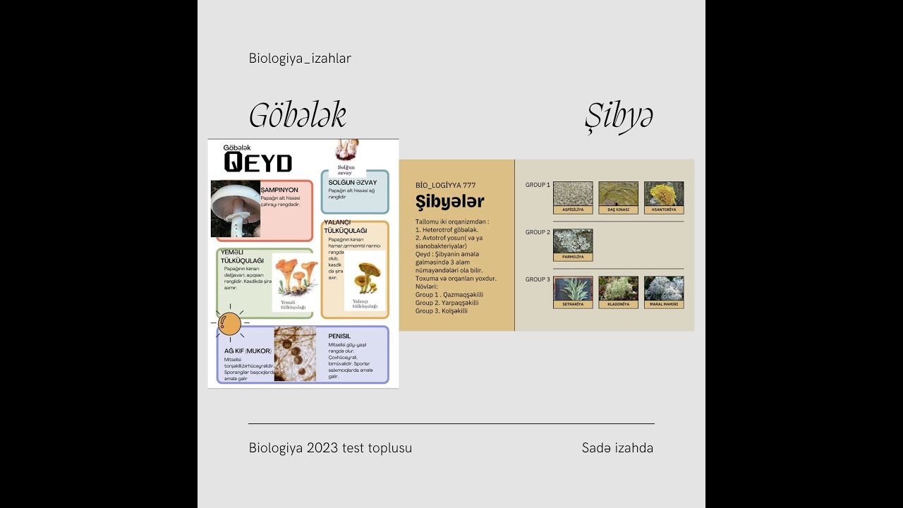 Göbələk və şibyələr . Biologiya 2023 test toplusu #abituriyent #biologiya #abituriyenthazırlığı