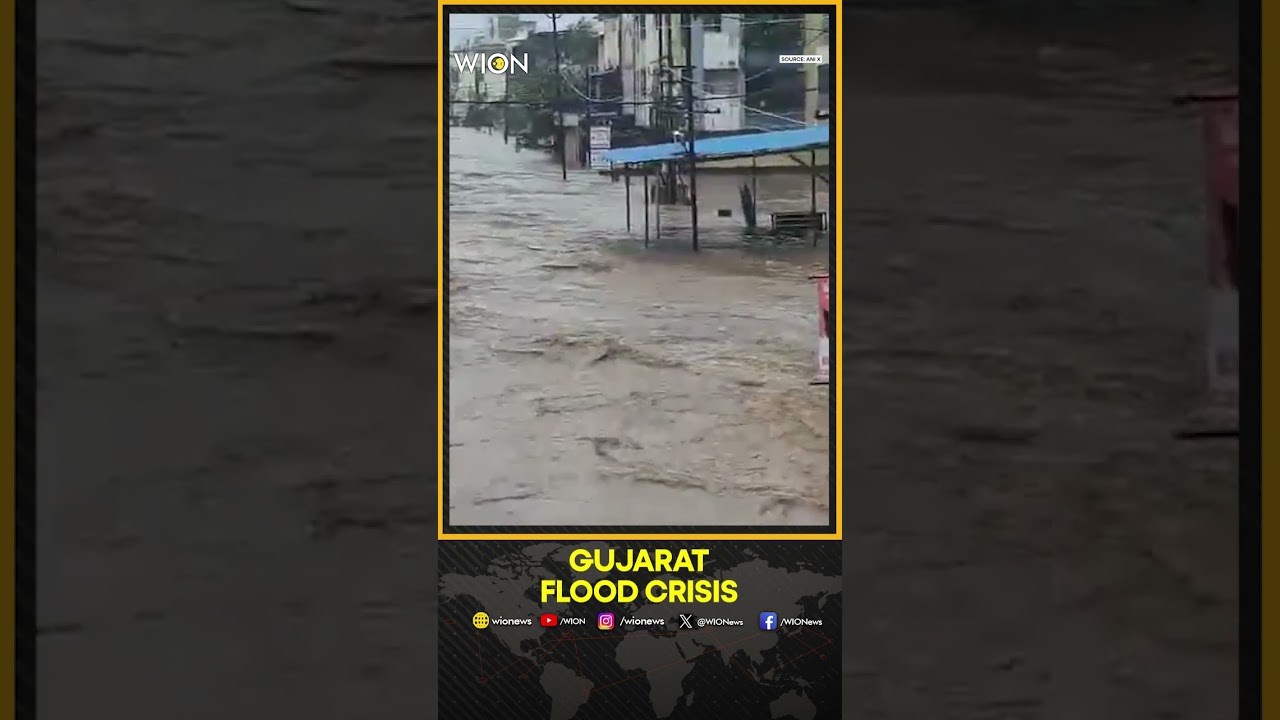 Valsad Flood Crisis: Auranga River Overflows After Heavy Rainfall, Streets Submerged In Gujarat