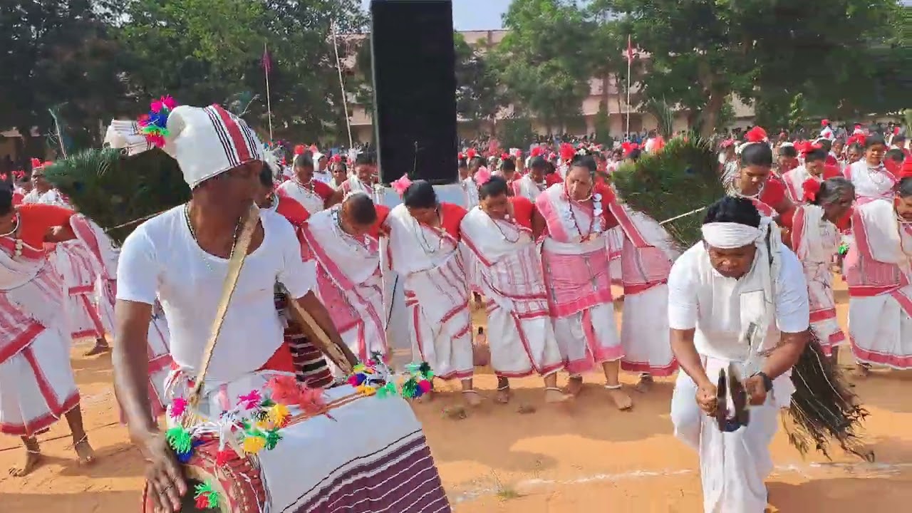Karma Dance Ambikapur | करमा नाच अंबिकापुर | Part 3