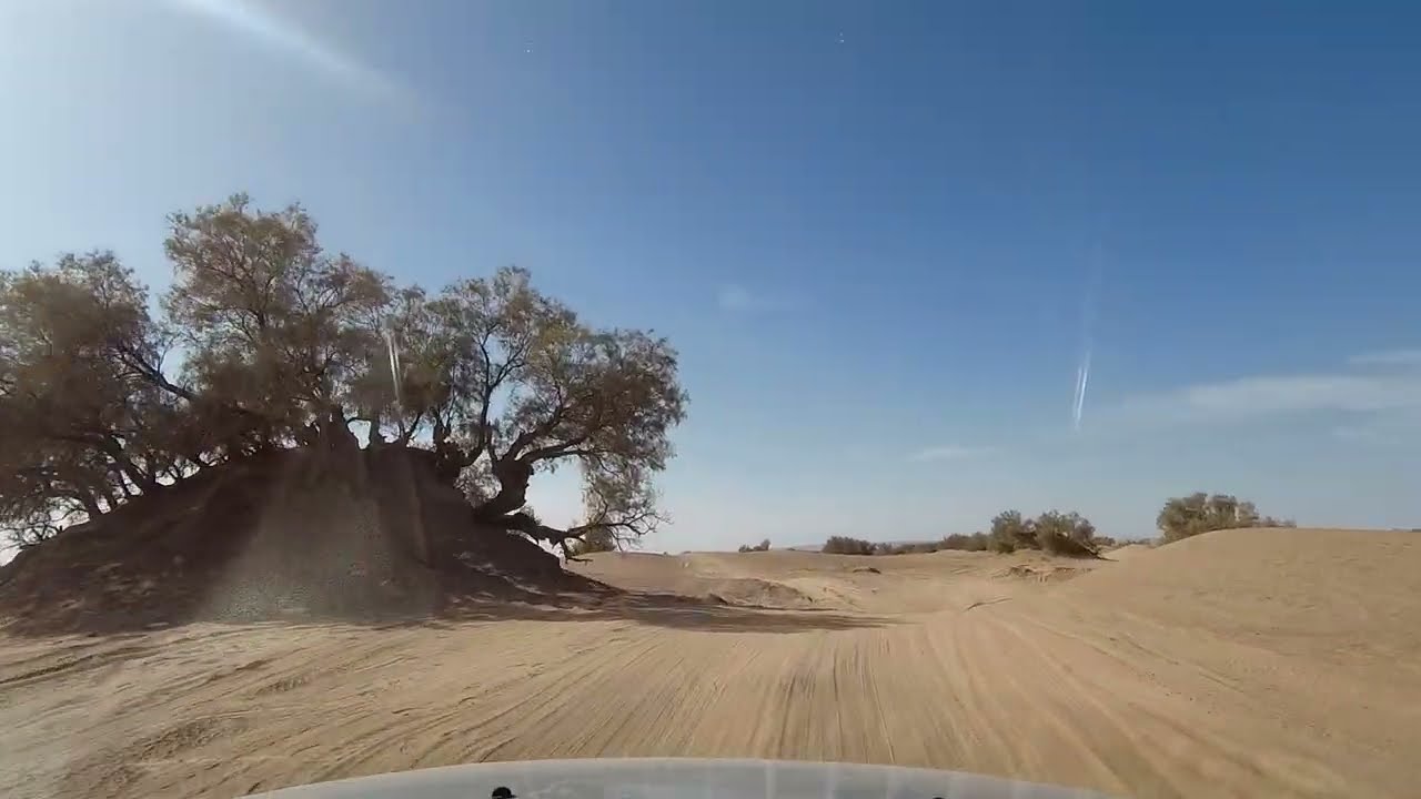 Mhamid - Bivouac Erg Chegaga au Maroc en Duster 4x4