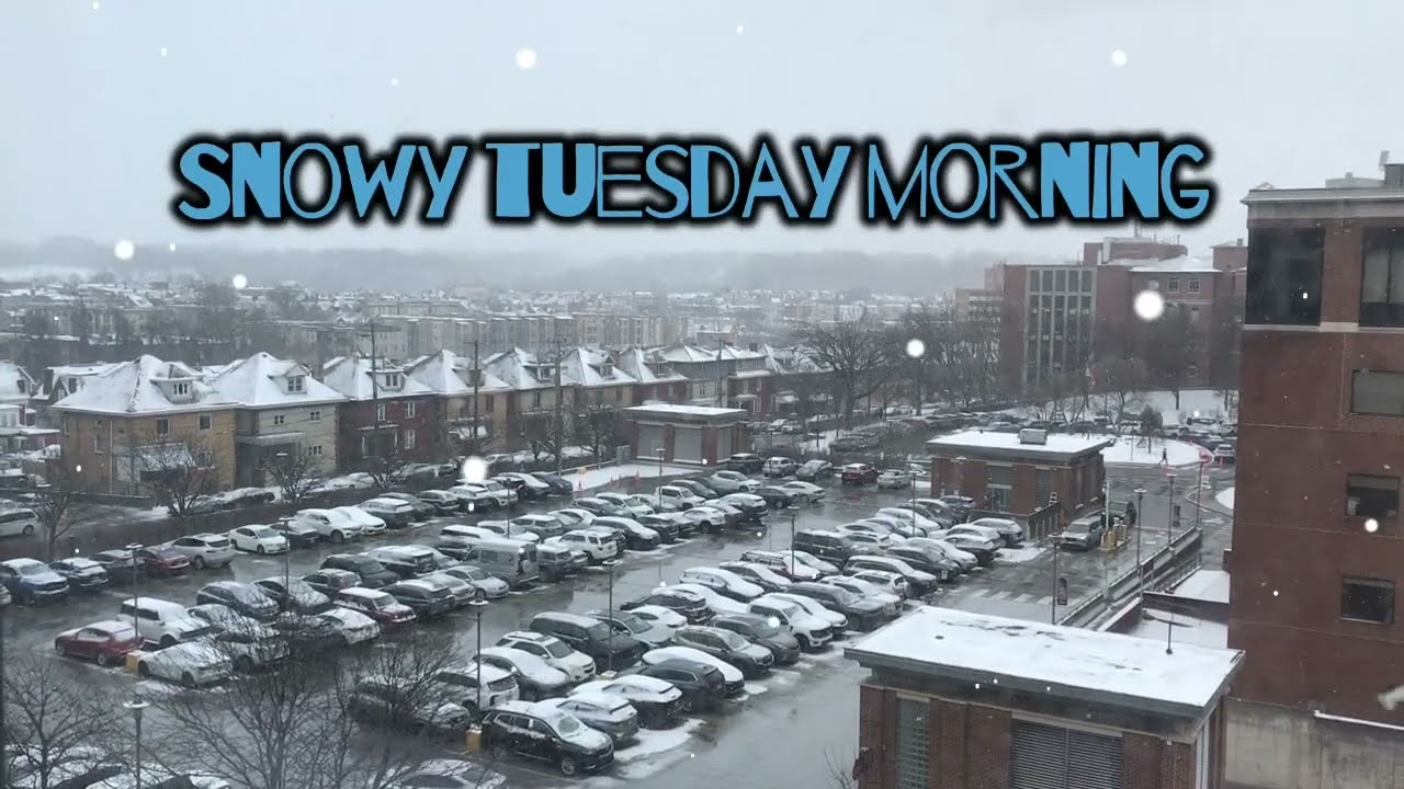 Snowy Tuesday morning here in Pittsburgh.#snow