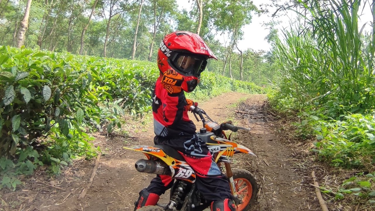 Azka Libur panjang njalur di kebun teh wonosari