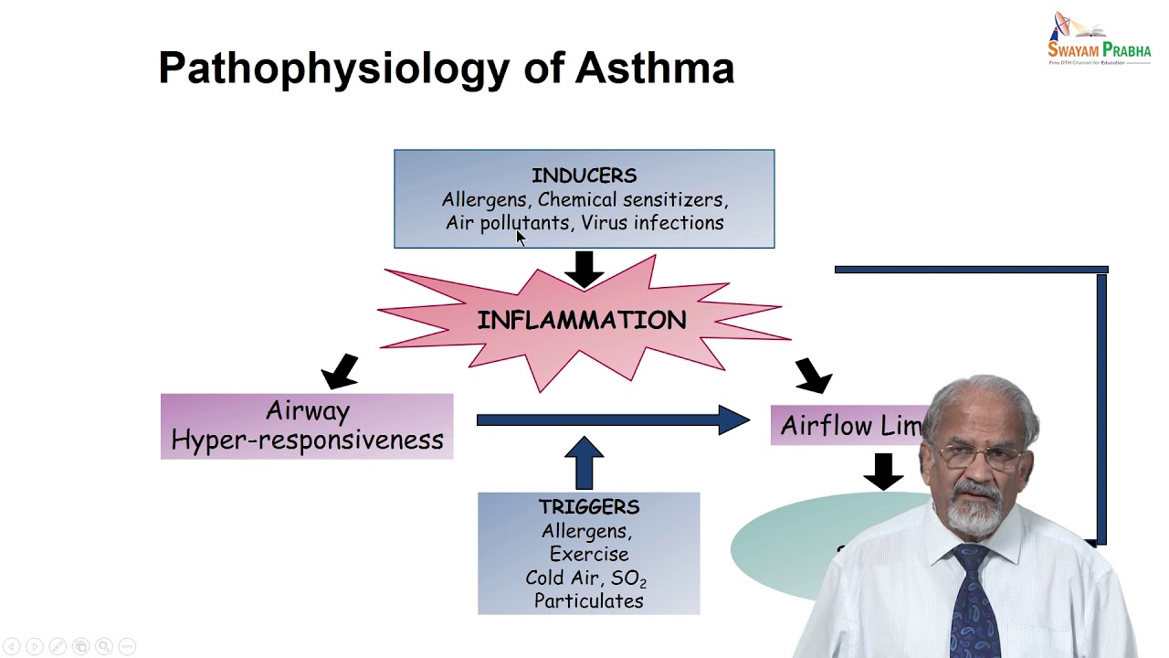 Drugs used in asthma