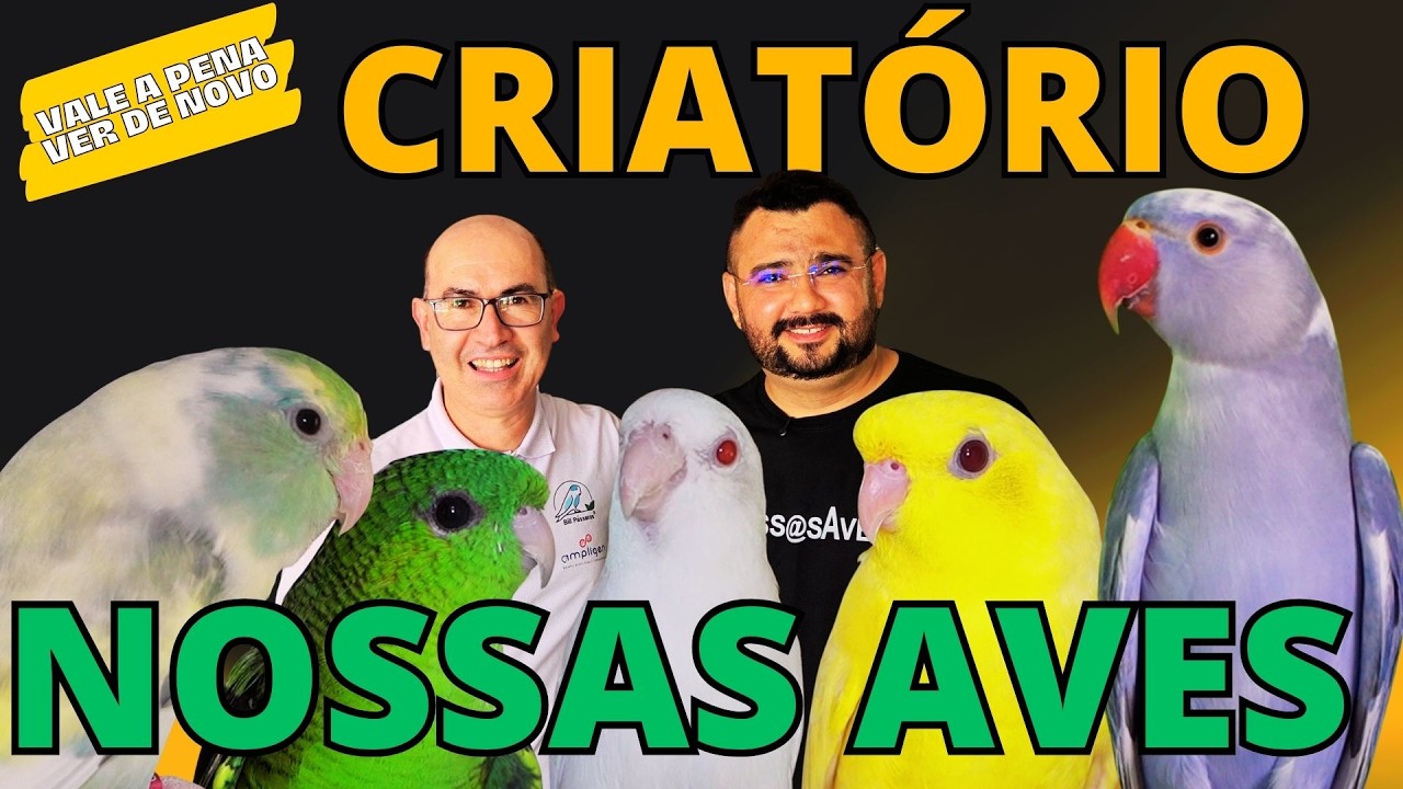 ESSE CRIADOR INVESTIU PESADO em FORPUS!!