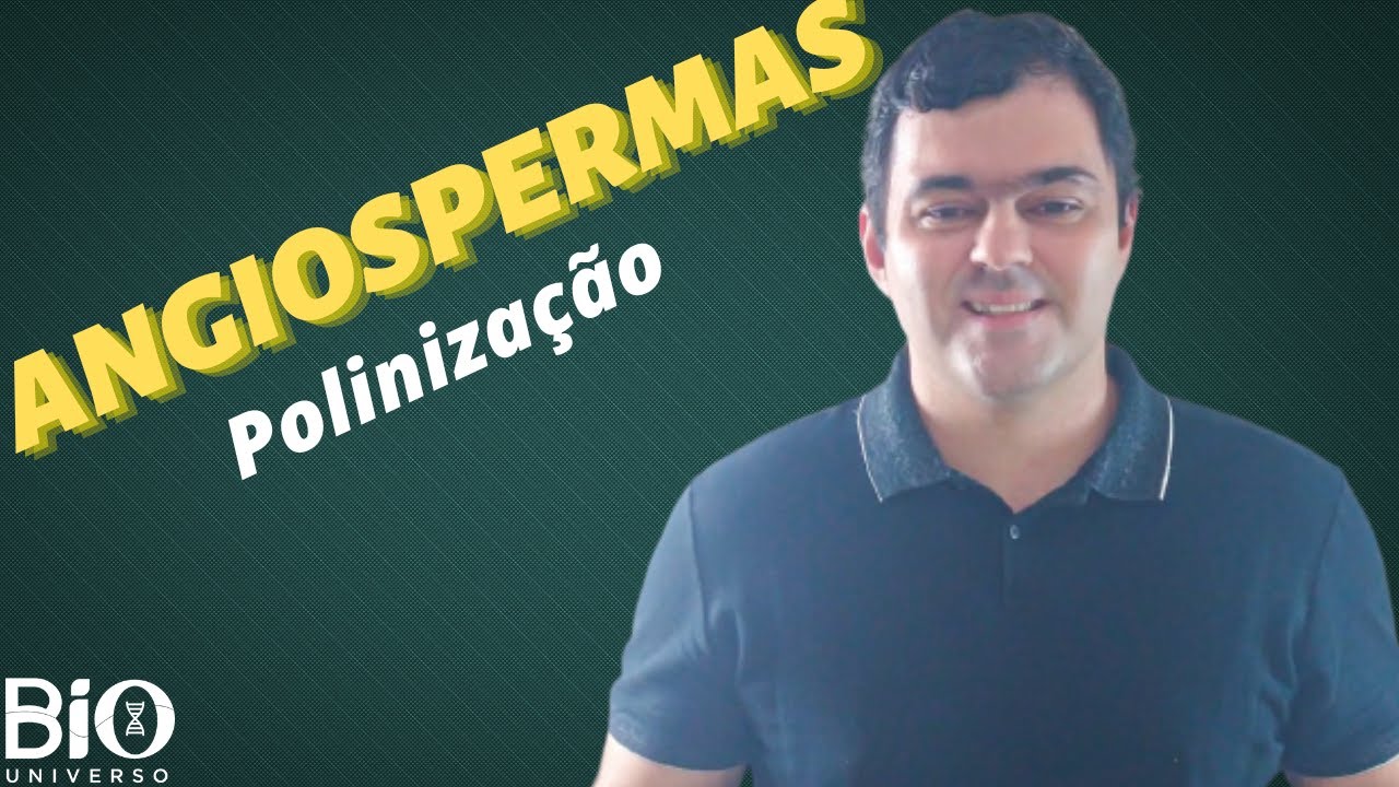 BOT&Acirc;NICA - ANGIOSPERMAS (Poliniza&ccedil;&atilde;o) - ENEM e Vestibulares