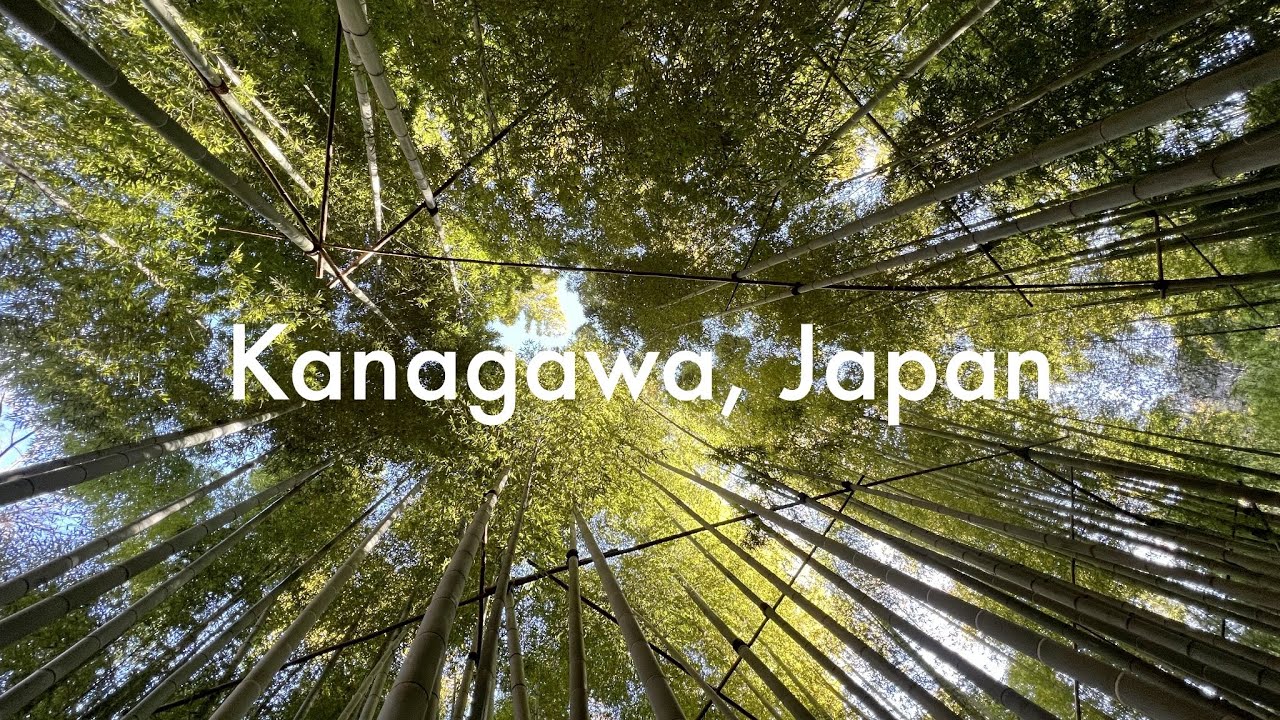Kanagawa Day Trip | Winter 2023