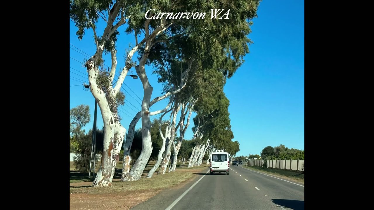 Carnarvon WA
