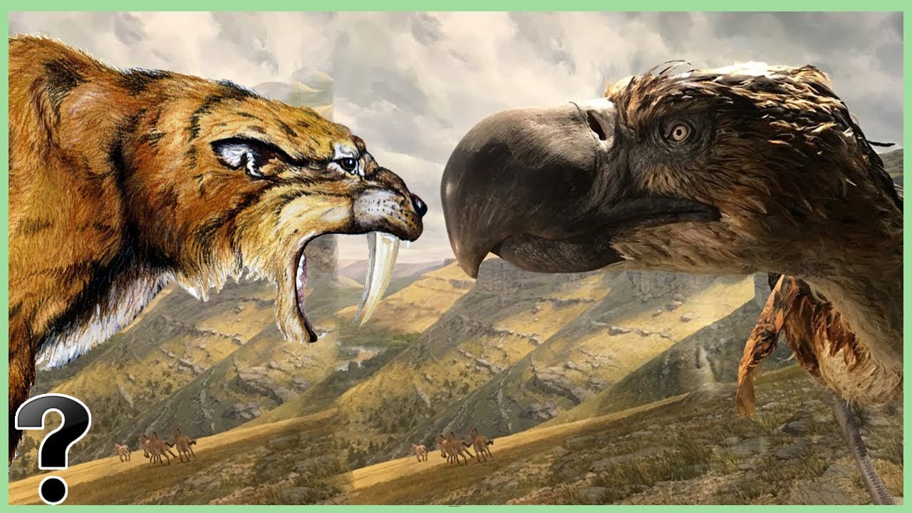 What If A Saber-Toothed Tiger Fought A Terror Bird?