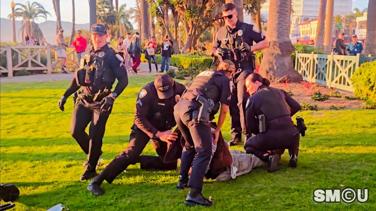 𝗣𝗔𝗟𝗜𝗦𝗔𝗗𝗘𝗦 𝗣𝗔𝗥𝗞 𝗔𝗥𝗘𝗦𝗧: Police Take Man Into Custody After Officer Spots Possible Weapon