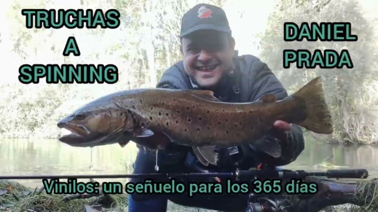 Truchas con vinilo , (DAMONA Sil 07) (Galicia)