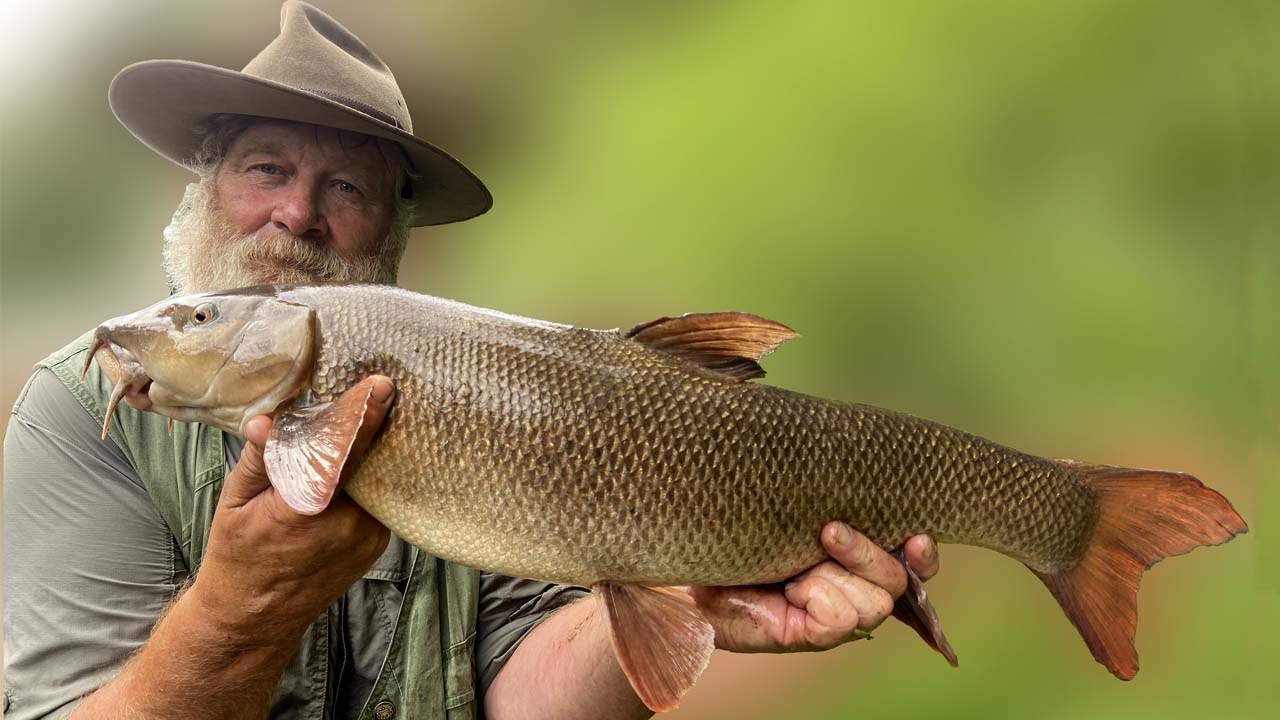 Barbel On The Float