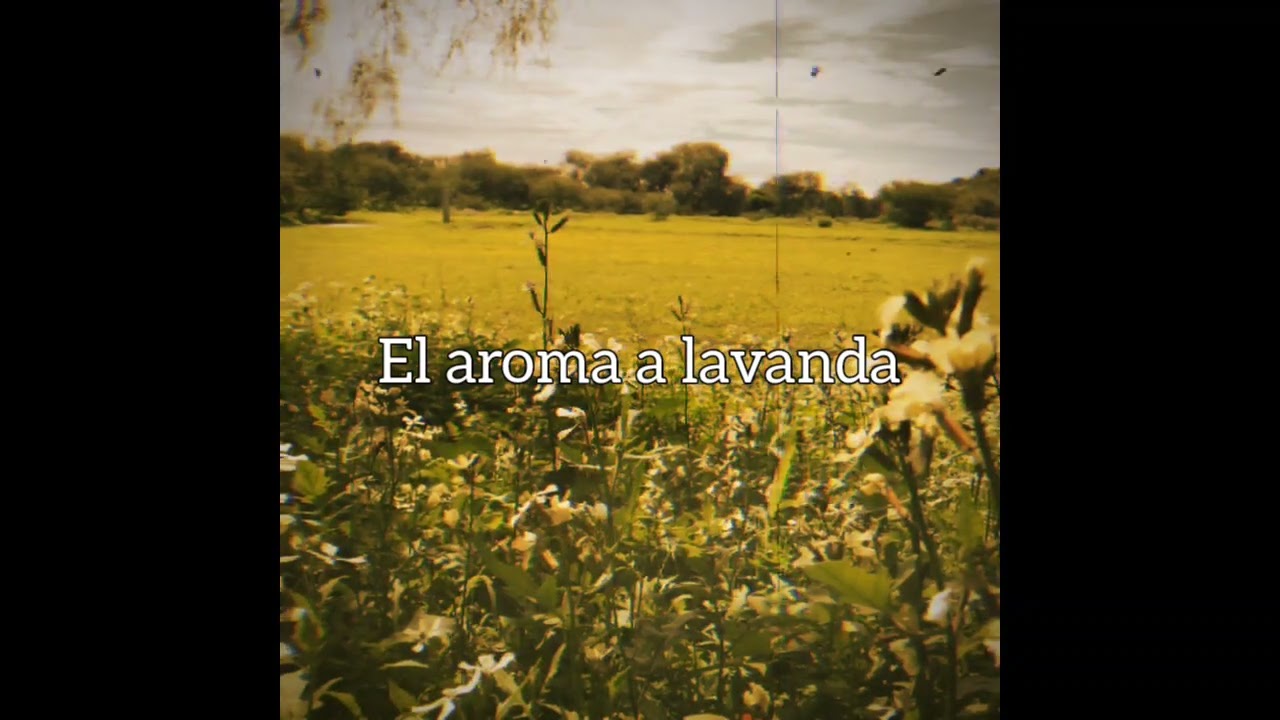 El aroma a lavanda [fansong] - CESR