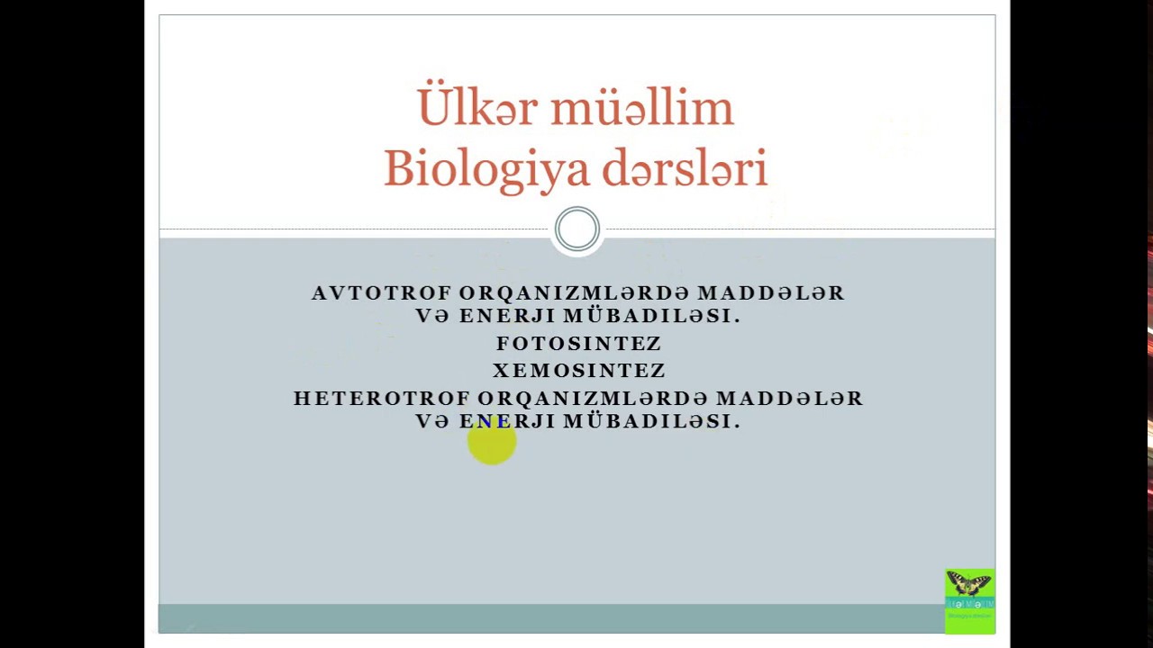 Canlılarda qidalanma üsulları.Fotosintez.Giriş