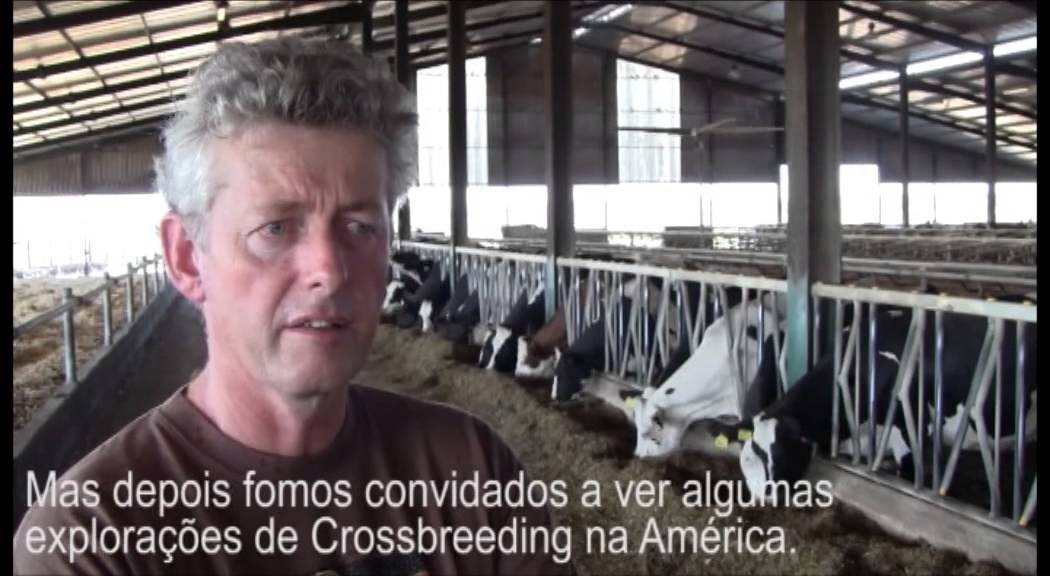 VikingGenetics - Exploração ProCROSS de Lambert van der Linde, Portugal - Legendado em Português