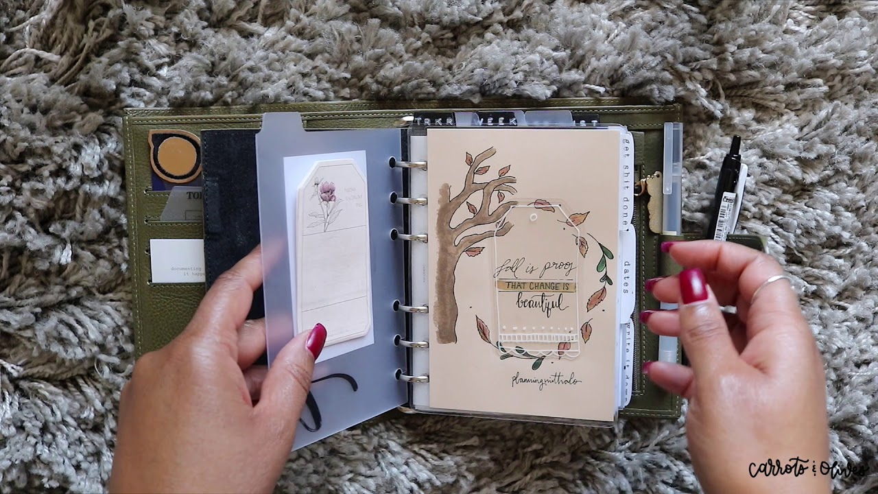 A6 Переворот моей Gillio Olive Compagna