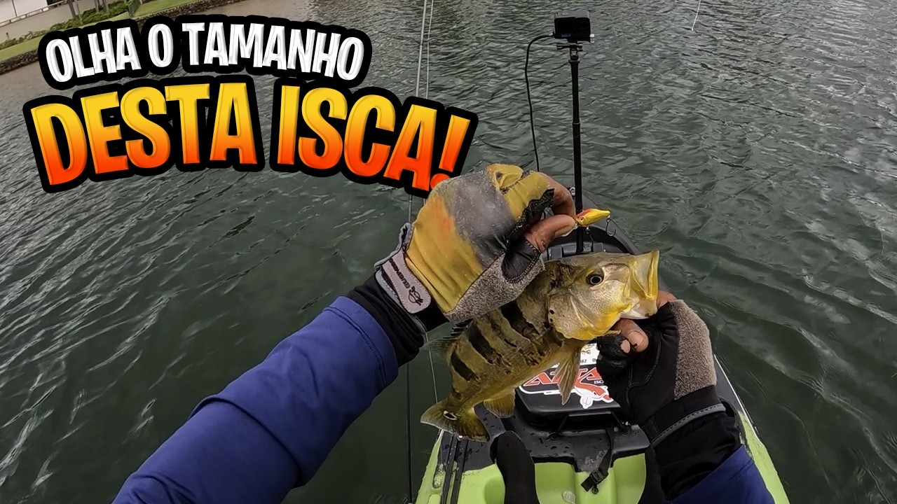 MICRO ISCA DE 4CM PEGANDO TUCUNARÉ DE 38CM NA ULTRA LIGHT!