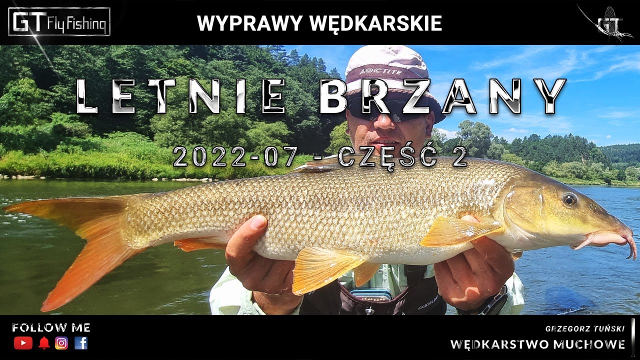 Letnie brzany na muchę - BASIEŃKI - cz.2