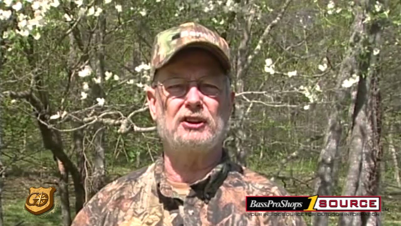 Wild Turkey Chufa Habitats with J. Wayne Fears