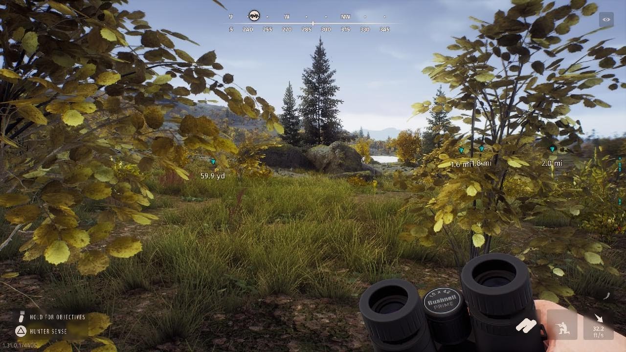 Way of the Hunter 5 STAR FALLOW DEER on LINTUKOTO!