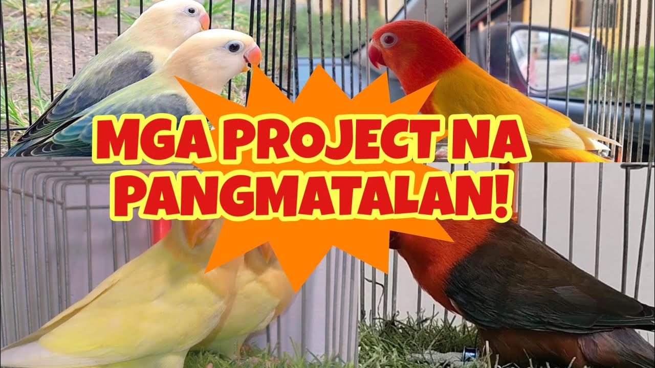 Mga Project Na Pangmatagalan | Iwas Quit!