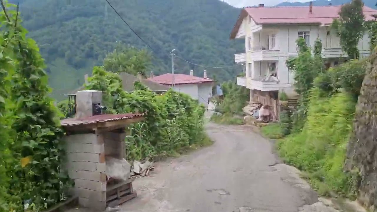 Trabzon Of Başköy köyü sanat yönetmeni Mehmet Fazlıoğlu 0538 491 61 61 25.07 2024