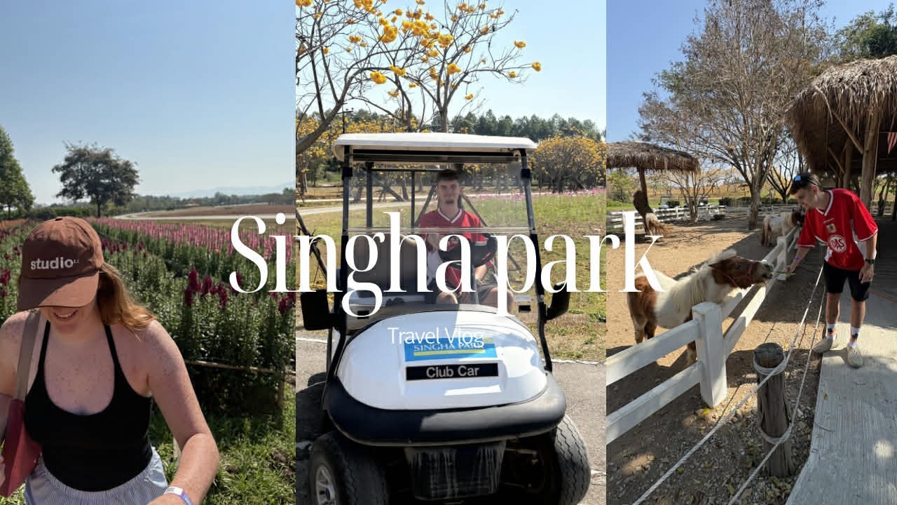 This Park Is So Big You Need a Golf Cart 🇹🇭 | Singha Park Chiang Rai 
