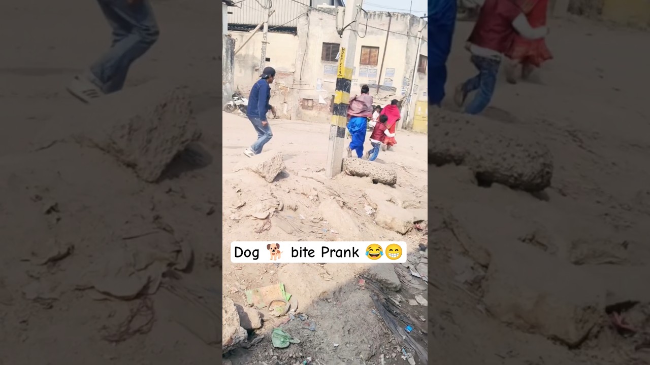 dog 🐕 bite prank part 2 😂