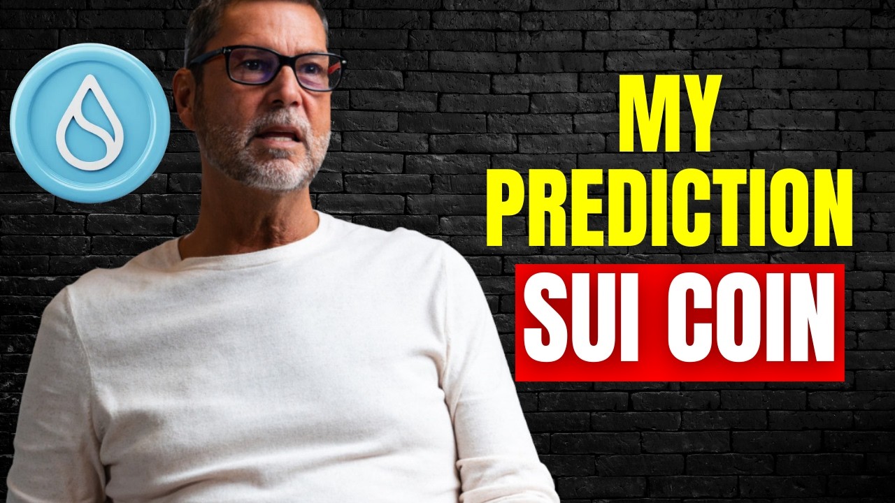 Raoul Pal's SHOCKING SUI Coin Prediction (100X Coming...)