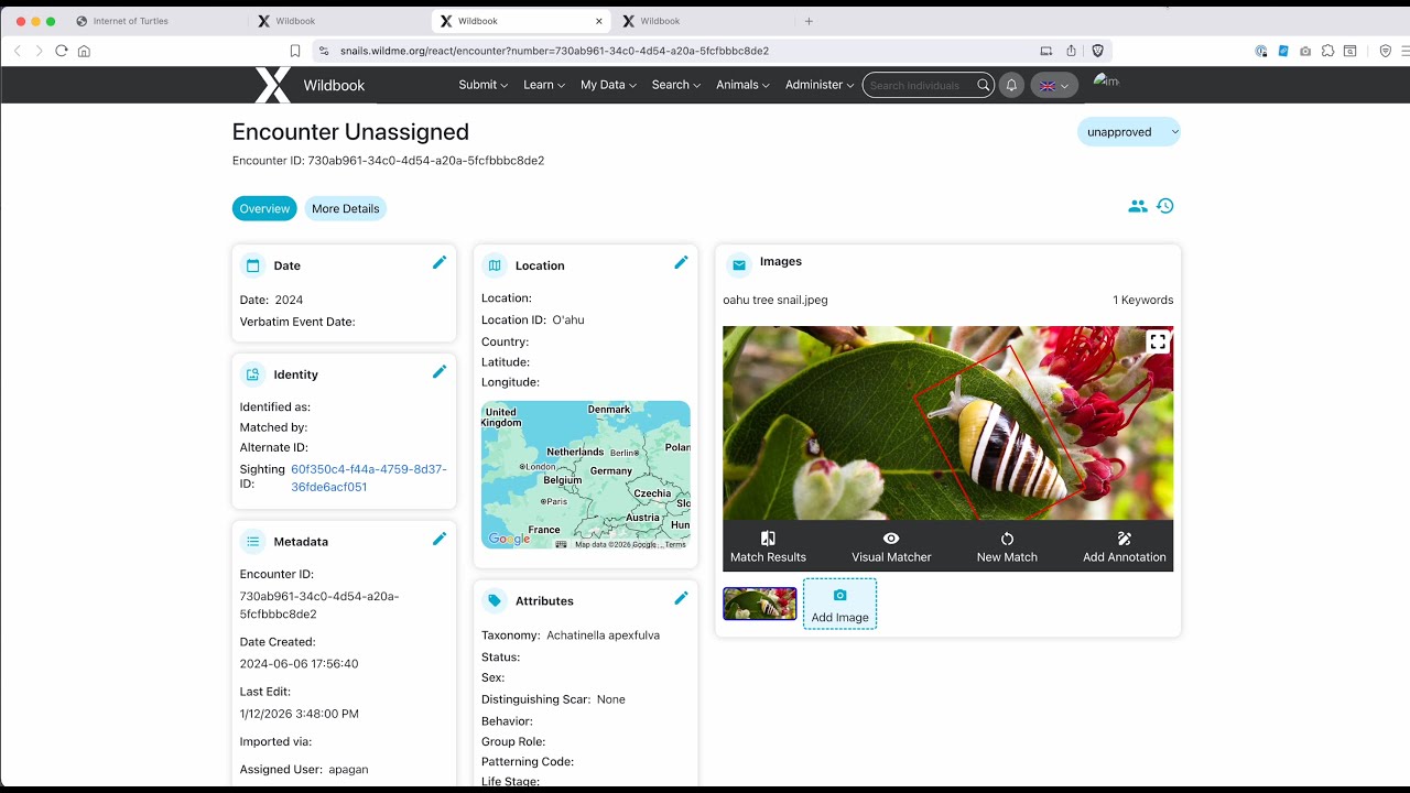 New Encounter Page Layout - Wildbook 10.9