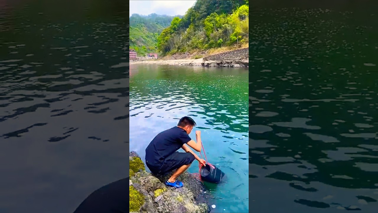 Traditional Basket Fishing: Sustainable Carp Harvesting Method!!