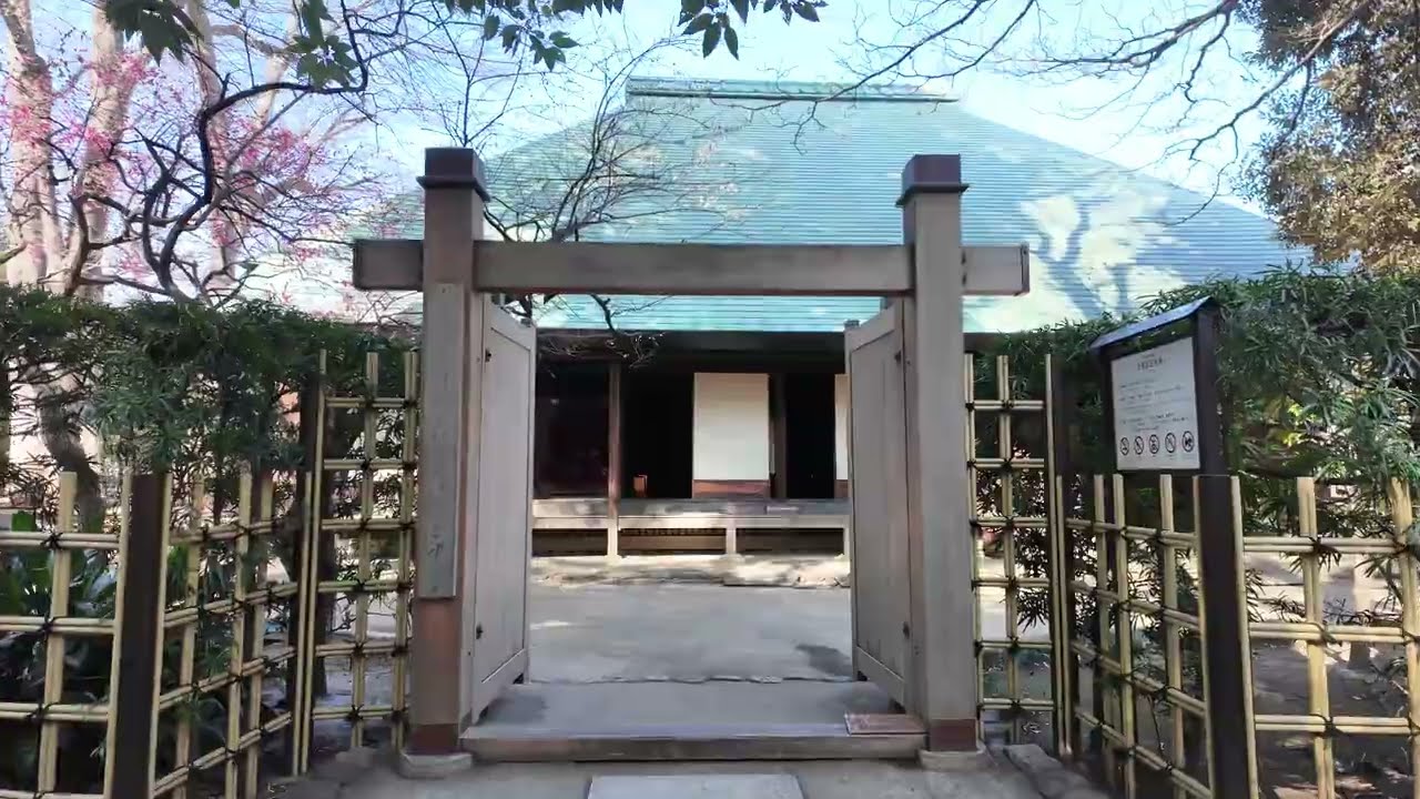 【4K Walk】Birdsong in a Quiet Bamboo Grove, Tokyo｜鳥のさえずる静かな竹林