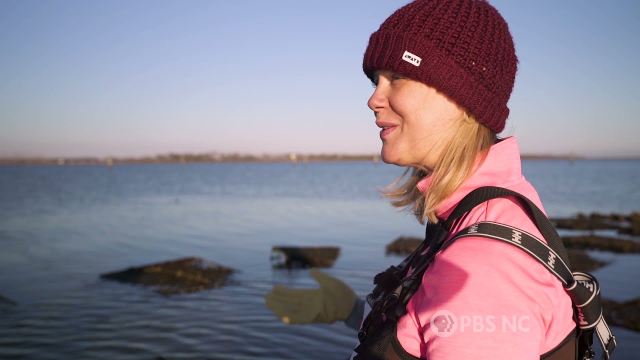 Come along oyster farming on the North Carolina coast to see how to get them from sea to table.