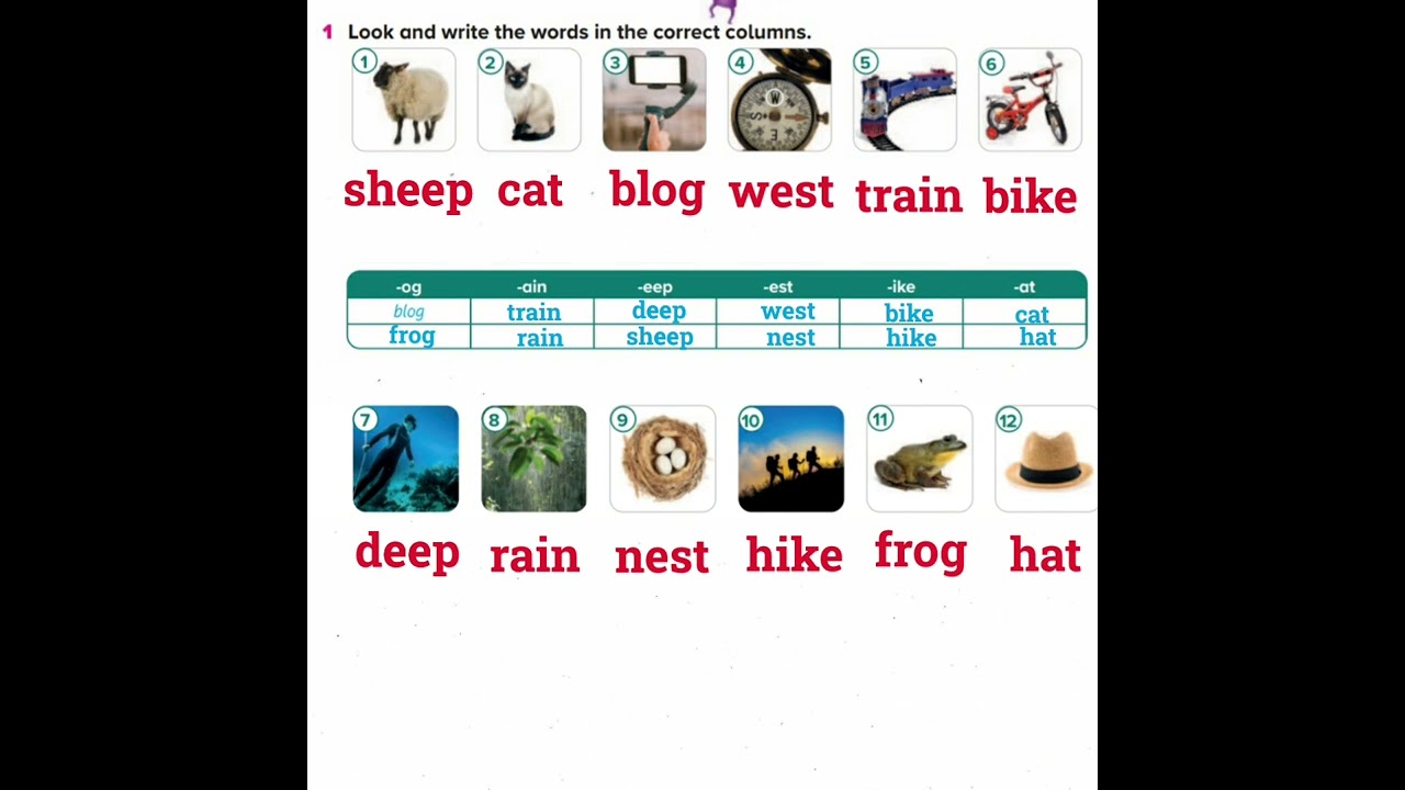 Top goal Unit 5 lesson 9 page 67