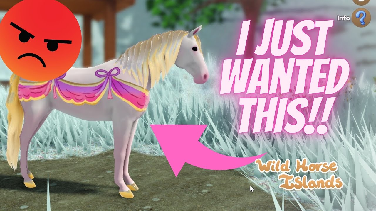 SEARCHING FOR THE NEW 2024 SUMMER EVENT HORSES ON WILD HORSE ISLANDS...
