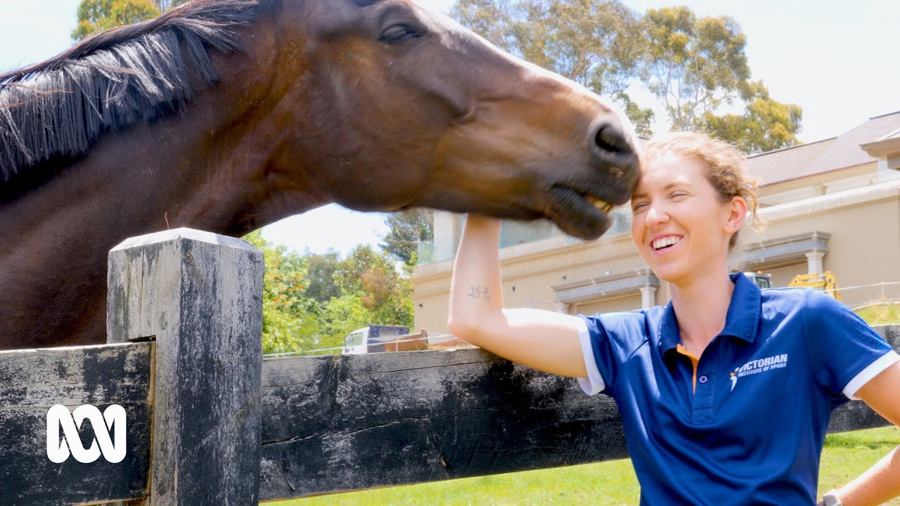 For the love of horses — Para-equestrian rider leads the way | ABC Australia
