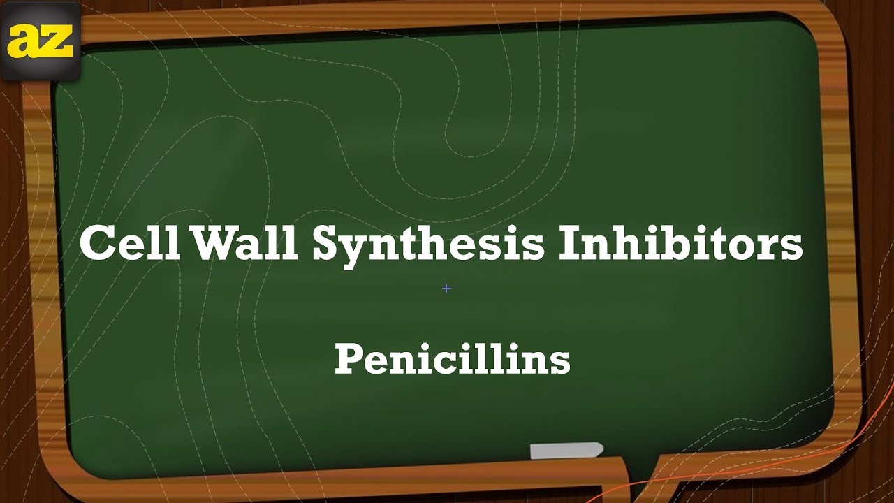 01. Antibiotics Penicillin شرح بالعربي