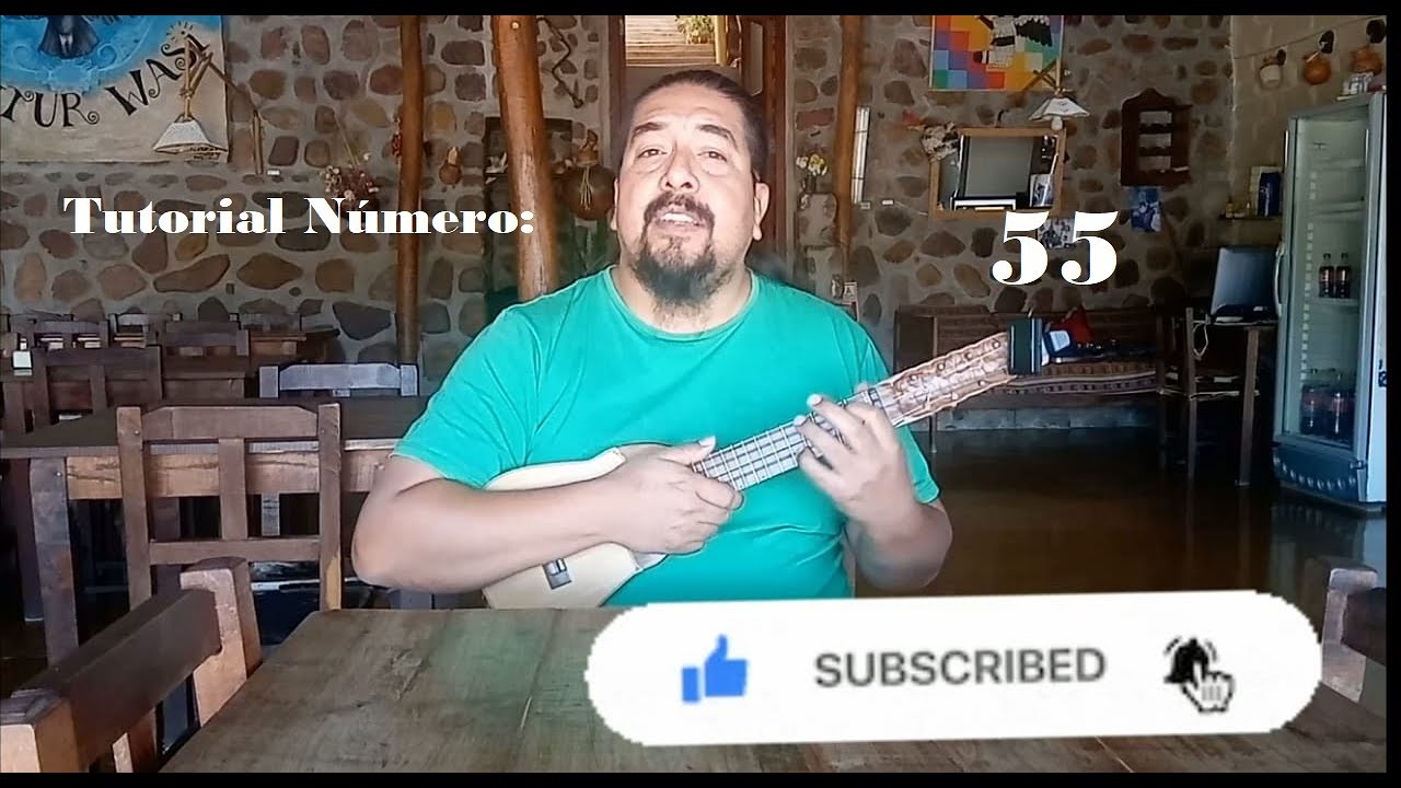 55 La Vicuñita #Tutorial #charango