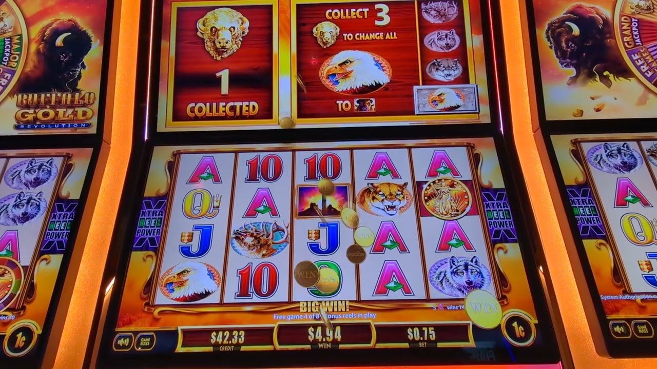 Buffalo Gold Revolution Bonus!! #massivewin #casino #slotmachine